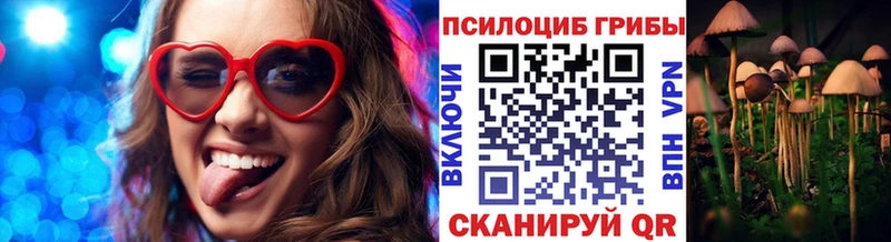 Купить закладки  Задонск  Псилоцибиновые грибы мухоморы 